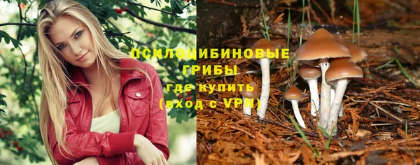 спиды Магас