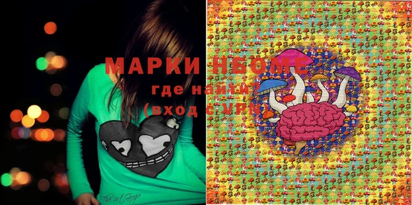 ПСИЛОЦИБИНОВЫЕ ГРИБЫ Алзамай